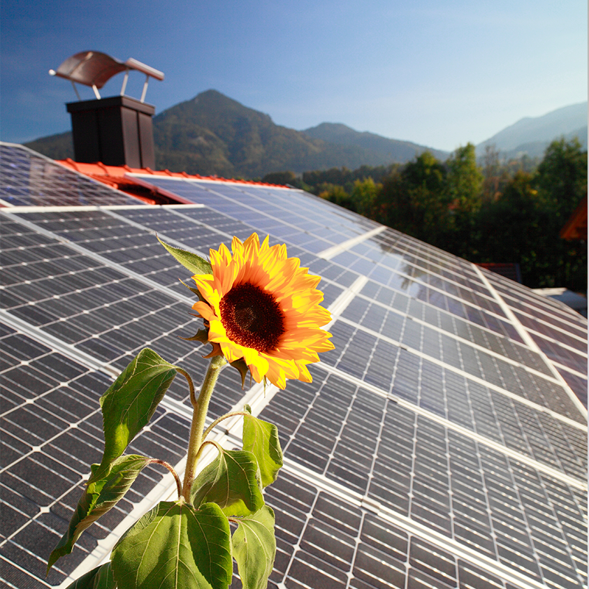 Panneaux solaires bien exposés.